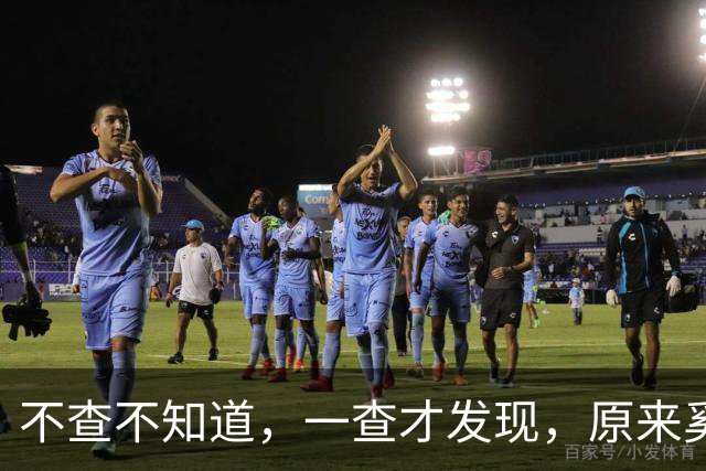 不查不知道，一查才发现，原来奚美娟跟宋佳两个人的关系真不简单