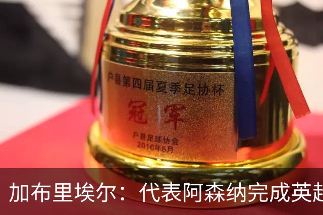 加布里埃尔：代表阿森纳完成英超200场里程碑很荣幸，为自己骄傲