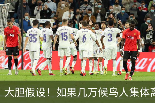 大胆假设！如果几万候鸟人集体离开坡月，后果真的不堪设想