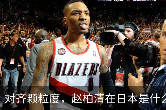 对齐颗粒度，赵柏清在日本是什么水平？