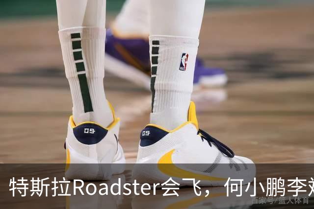 特斯拉Roadster会飞，何小鹏李斌接连表态